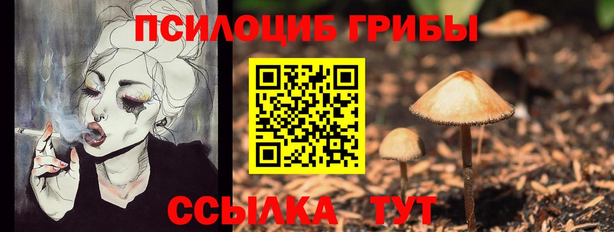 Галлюциногенные грибы Psilocybe Красный Сулин